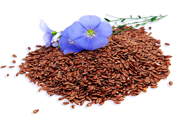 semillas de lino para parásitos