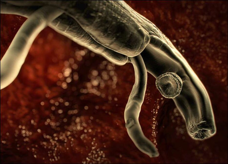 parásitos dentro del cuerpo humano